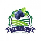 Patika Blueberry Garden